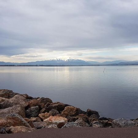 Cap Coudalere Appartement Le Barcarès Buitenkant foto