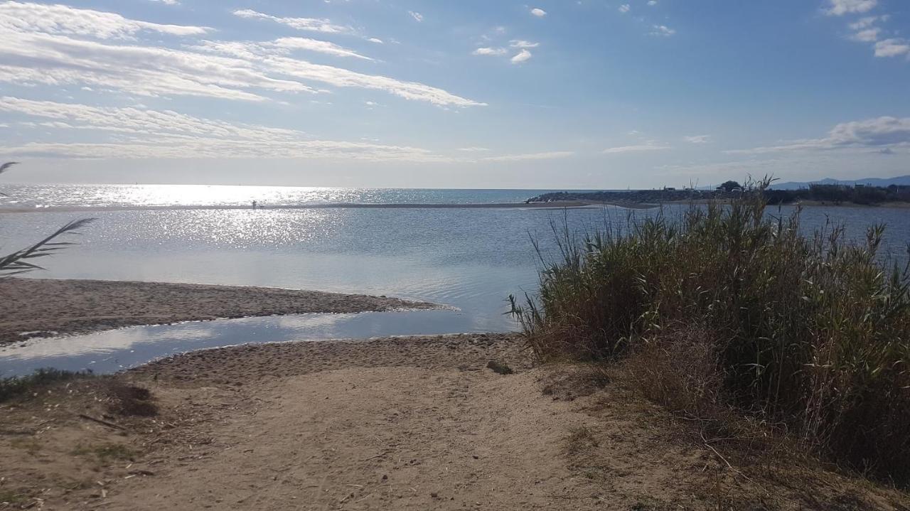 Cap Coudalere Appartement Le Barcarès Buitenkant foto