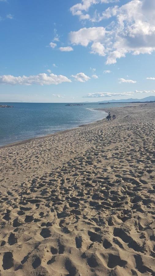 Cap Coudalere Appartement Le Barcarès Buitenkant foto